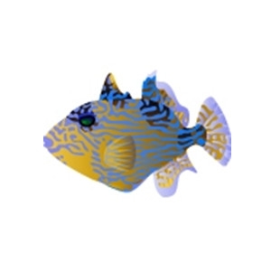 Blueline Triggerfish